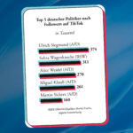 Read more about the article AfD auf TikTok: Jung, schnell, witzig, rechts