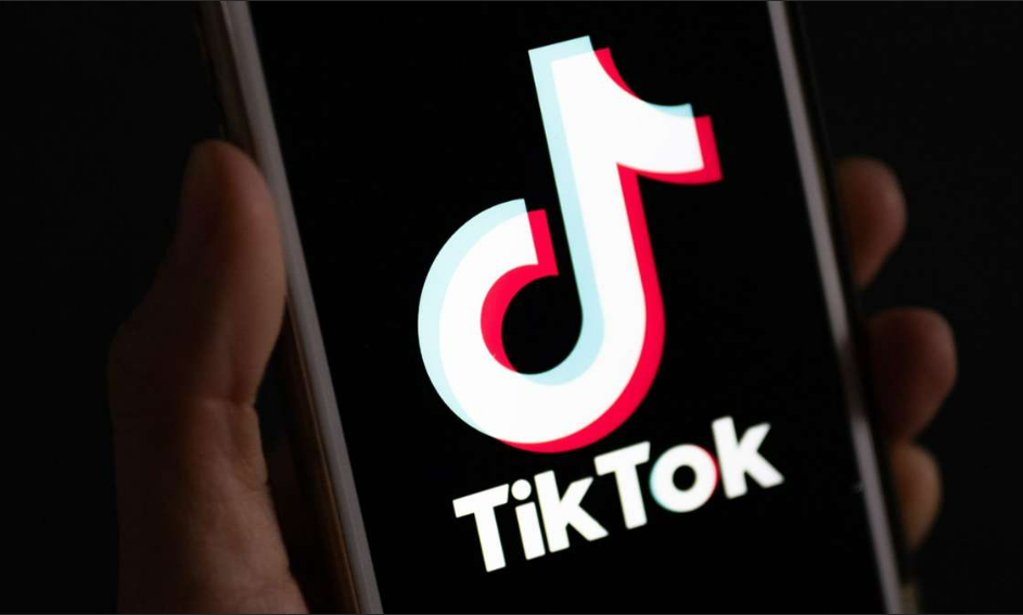 You are currently viewing Politiker in sozialen Netzwerken: Warum die AfD auf Tiktok ein Monopol hat